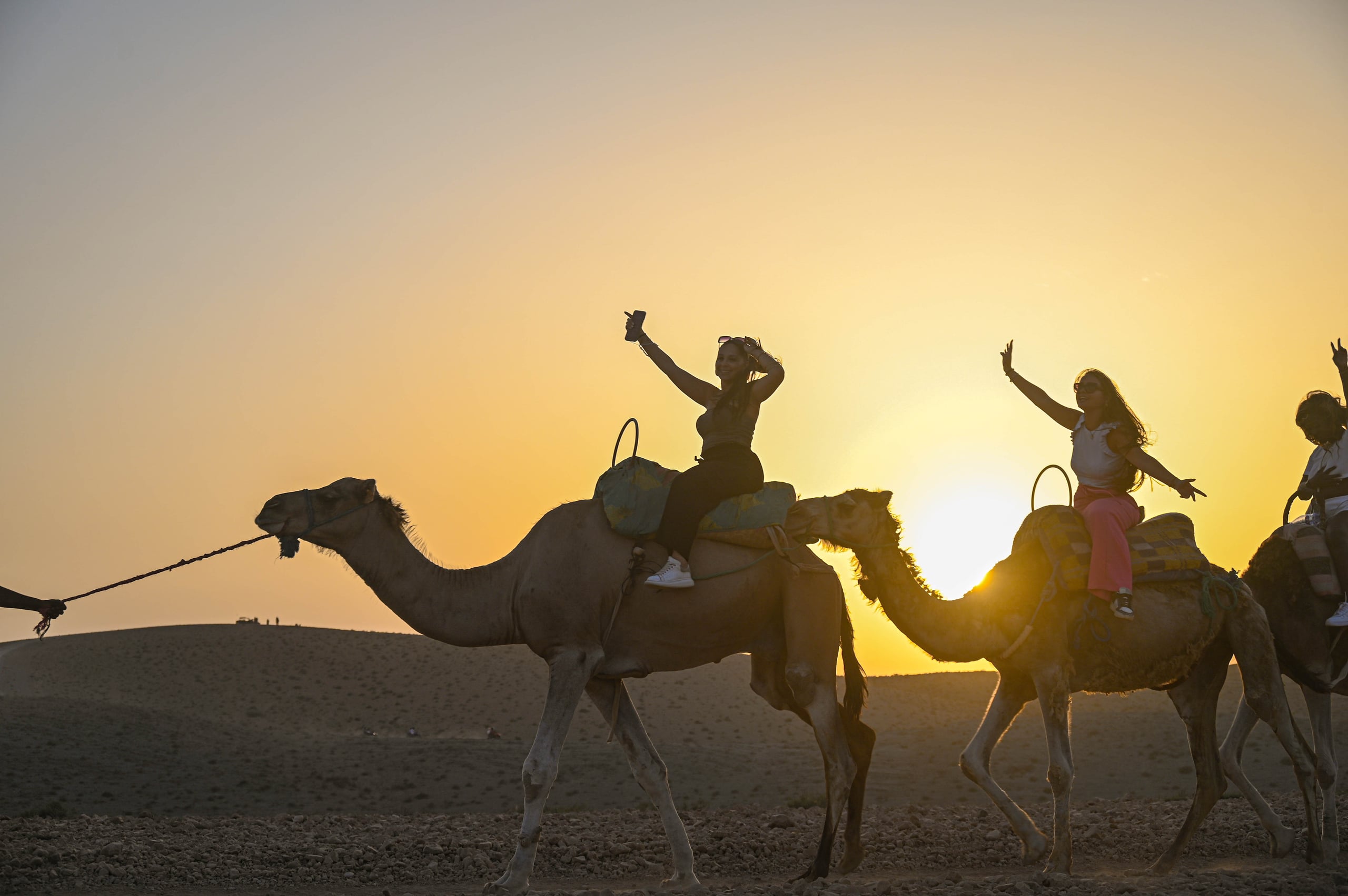 Quad and Camel Combo – 2H Quad + 1H Camel